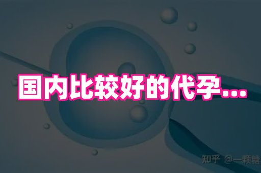 武汉助孕网站 1