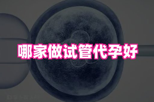 武汉助孕网站 2